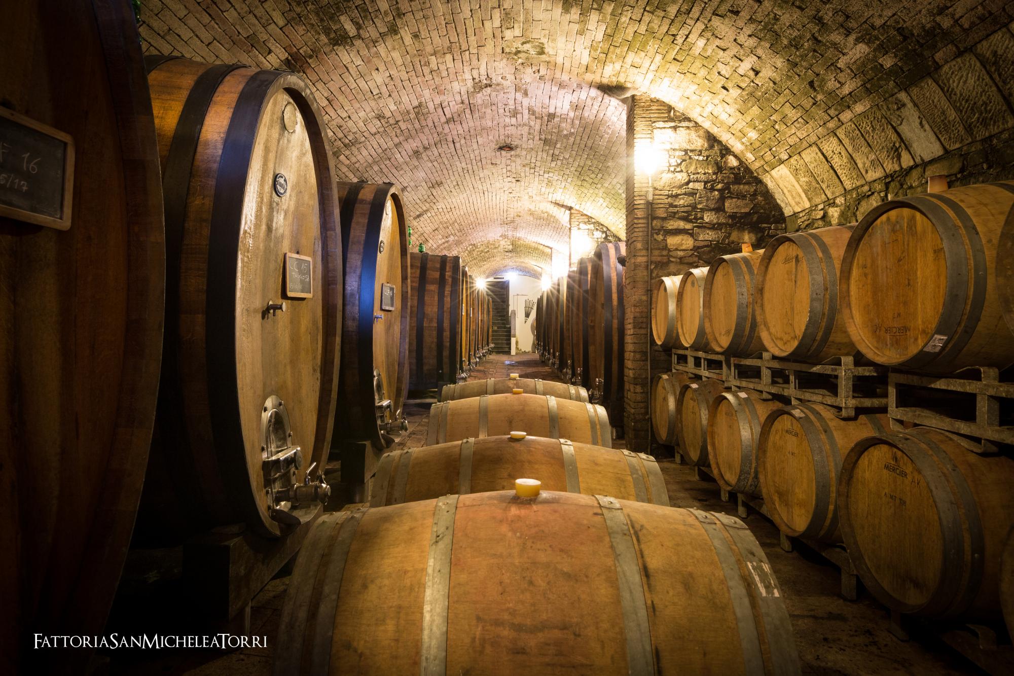 Sostenibilità ed enogastronomia. Un binomio vincente per turismo e territorio